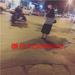 大连哪里有卖好一点柴犬柴犬繁殖场