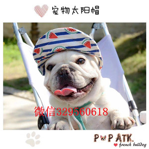 扬州精品法国斗牛犬热卖中、真实照片视频挑选、签协议可送货