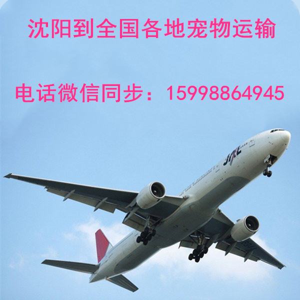 沈阳到全国各地宠物托运