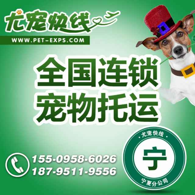宠物托运全国连锁上门接送