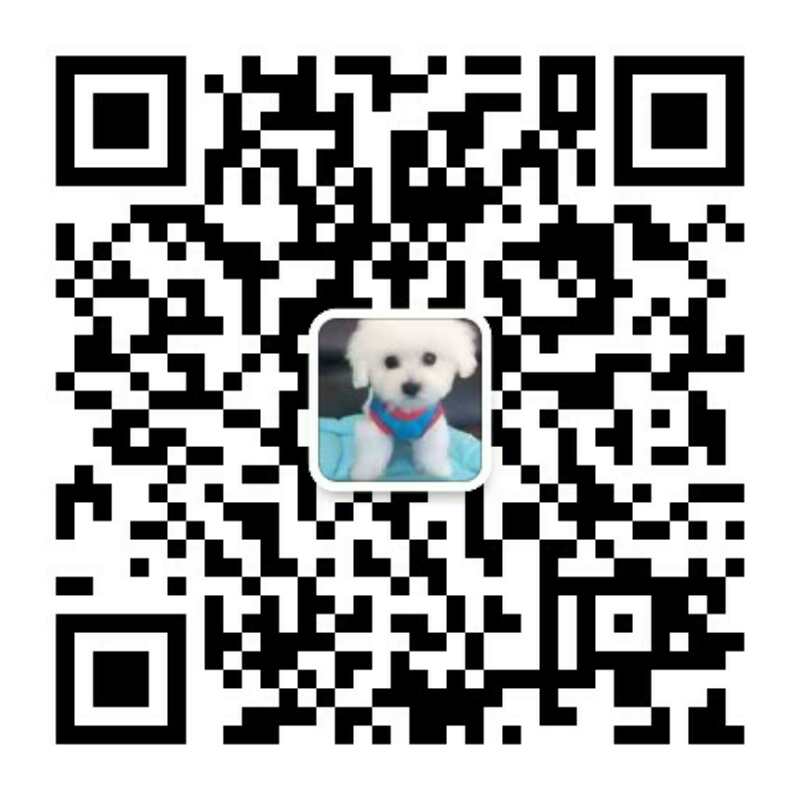 云龙哪里卖的卡斯罗好、云龙县买纯种卡斯罗