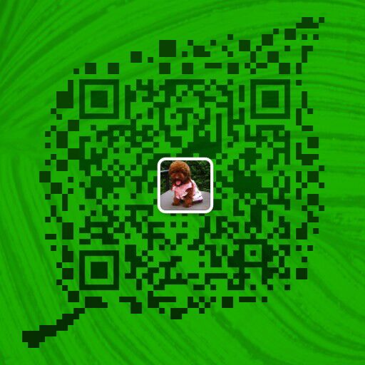 思茅买卡斯罗请进 云南本地狗场出售卡斯罗幼犬